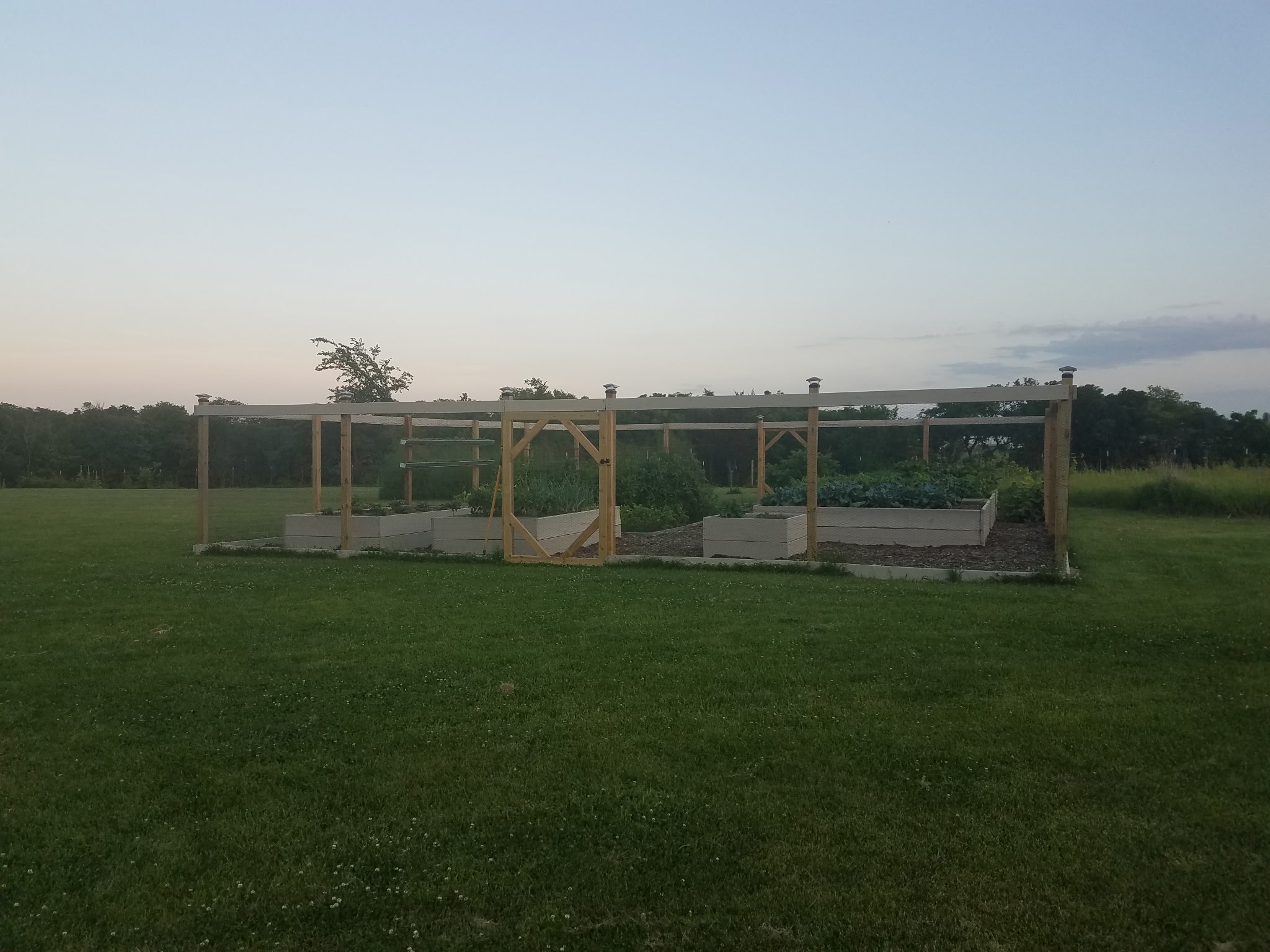 Gardening 101: Things to Consider Before Getting Started